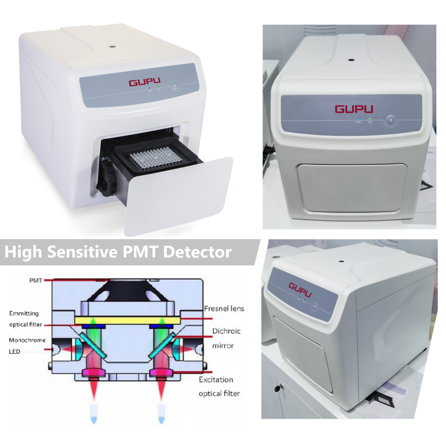 Real-Time PCR System GenWarrior96(图1)